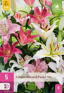 Lilium Oriental Pastel Mix 5st