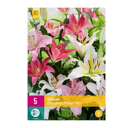 Lilium Oriental Pastel Mix 5st