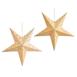 Lumineo Led Ster Hout 60cm Warm Wit