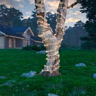 Lumineo Pro-lights Led Cluster L500cm Wit - 200 LED Warm Wit - afbeelding 3