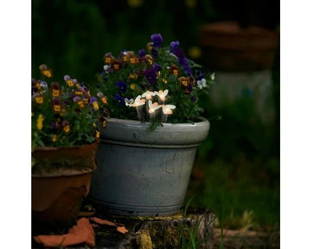 Lumineo - Solar Stekers Bloem/Bij (assorti) - afbeelding 6