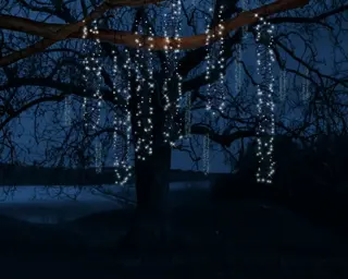 Lumineo Tree Cascade Twinkle 6x2m - 480LED Koel Wit - afbeelding 4
