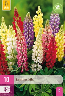 Lupinus Mix 10st