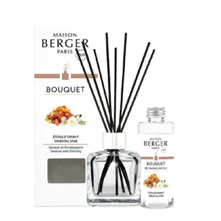 Maison Berger - Parfumsticks Cube 100ml - Etoile D'orient
