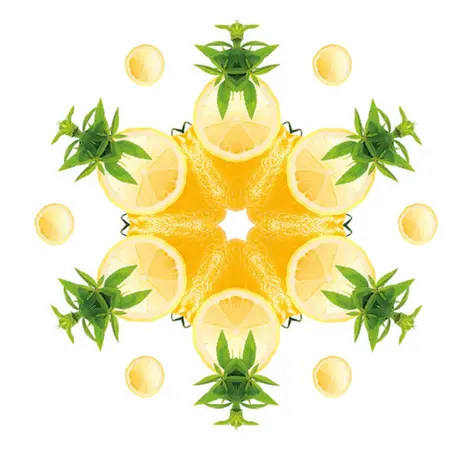 Maison Berger Paris Zest of Verbena