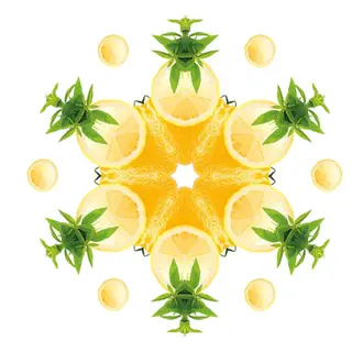Maison Berger Paris Zest of Verbena