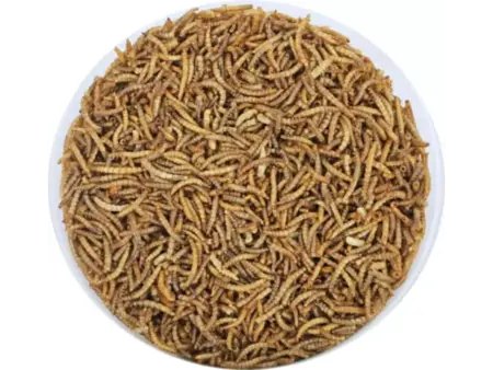 Meelwormen Emmer 4-seizoenen 2.5l - afbeelding 2