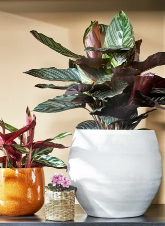 Mica Decorations Bloempot Pablo D14h12cm Oker - afbeelding 2