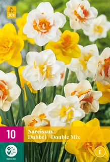 Narcissus Dubbel Mix