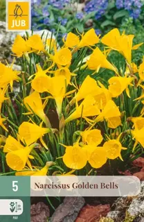 Narcissenbollen Golden Bells - 5 stuks