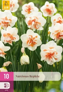 Narcissenbollen Replete - 10 stuks