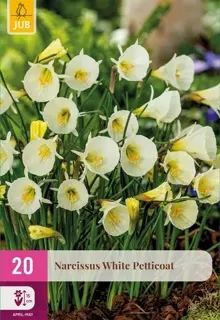 Narcissenbollen White Petticoat - 20 stuks