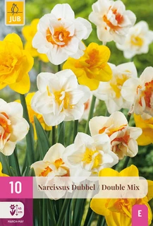 Narcissus Dubbel Mix