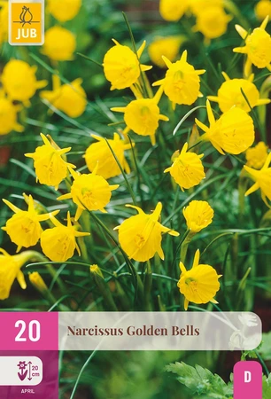 Narcissus Golden Bells - 20 bloembollen