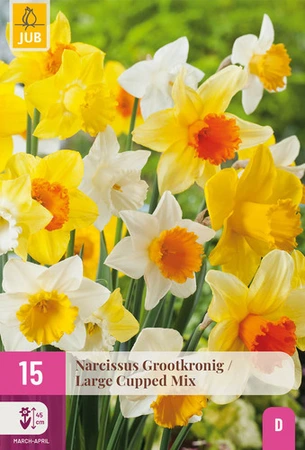 Narcissus Grootkronig Mix - 15 bloembollen