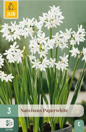 Narcissus Paperwhite - 3 bloembollen