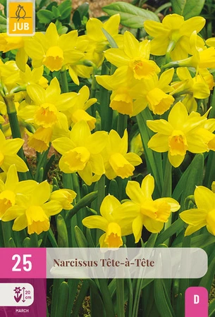 Narcissus Tete-a-Tete - 25 bloembollen