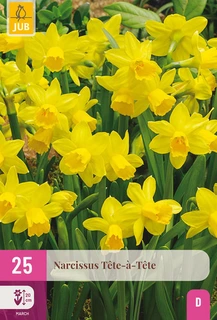 Narcissus Tete-a-Tete - 25 bloembollen