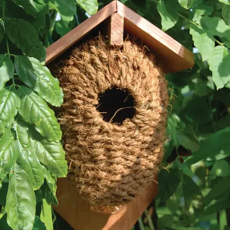 Nestbuidel Kokos - afbeelding 4