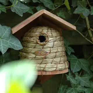 Nestkast Bijenhuis - afbeelding 2