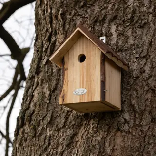 Nestkast Pimpelmees Boomschorsdak - afbeelding 2