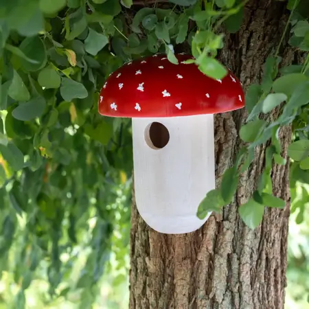Nestkast Vliegenzwam - afbeelding 3