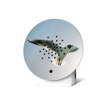 Oceanbox Limited Edition Spring Black-headed Gull - Relaxound - zeegeluiden - afbeelding 1