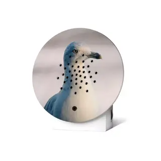 Oceanbox Limited Edition Fall 24 White Seagull - Relaxound - zeegeluiden