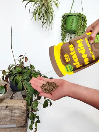 Oro Wolkorrel Plantenvoeding 2kg - afbeelding 3