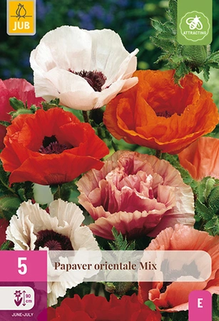 Papaver Orientale Mix 5st