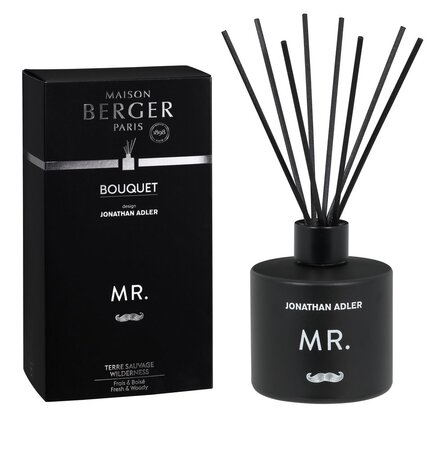 Parfumverspreider met sticks Mr. / Terre Sauvage - 180ml - afbeelding 1