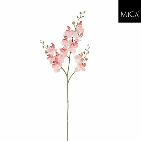 Phalaenopsissteel L75cm Roze