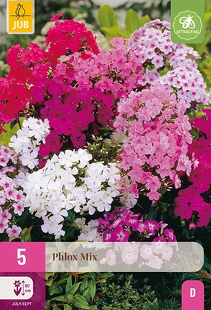 Phlox Mix 5st