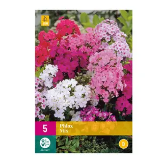 Phlox Mix 5st