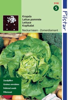 Pilstar Themaserie Kropsla Neckarr.Sel.Zomerdiamant - afbeelding 2