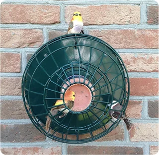 Pindakaaspot houder voor kleine vogels - afbeelding 3