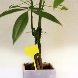 Plaatetiket 15 cm - 7 stuks - afbeelding 2