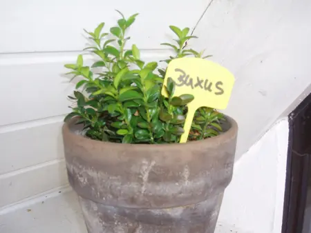 Plaatetiketten H12,5cm 10stuks - afbeelding 3