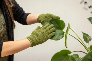Planten Afstof Handschoenen Groen - afbeelding 2