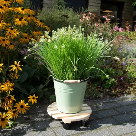 Plantentrolley rond 29x29x8cm Naturel - afbeelding 5