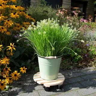 Plantentrolley rond 29x29x8cm Naturel - afbeelding 5