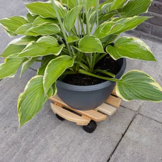 Plantentrolley rond 29x29x8cm Naturel - afbeelding 6