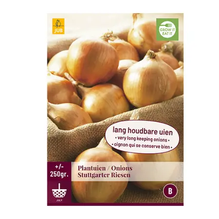 Plantuien Stuttgarter Riesen 250g