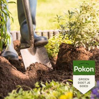 Pokon Bio Aanplantgrond Tuinplanten, Bomen & Hagen Turfvrij 45L - afbeelding 4