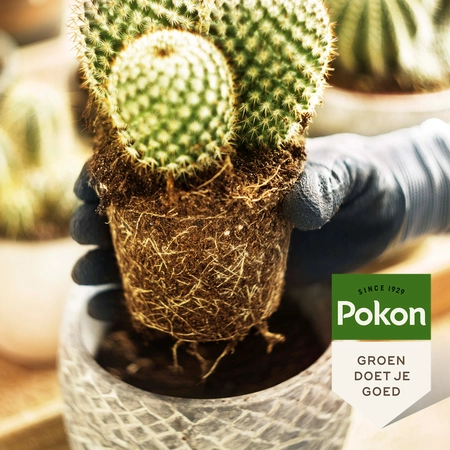 Pokon Bio Cactus Potgrond Turfvrij 5L - afbeelding 4