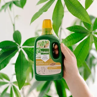Pokon Bio Groene Planten Voeding 250ml - afbeelding 3