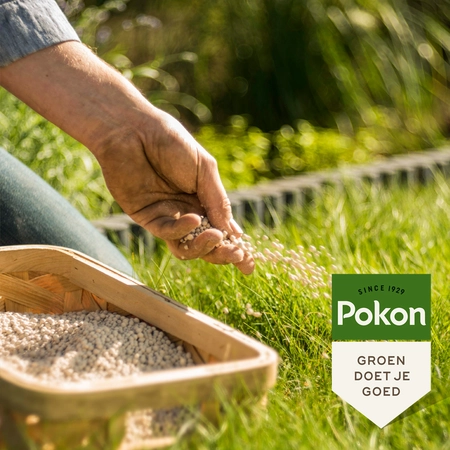 Pokon Bio Kalk 5kg - afbeelding 4
