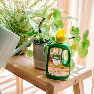 Pokon Bio Kamerplanten Voeding 500ml - afbeelding 3