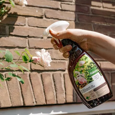 Pokon Bio Kuur Voor Weerbare en Gezonde Rozen Spray 750ml - afbeelding 4