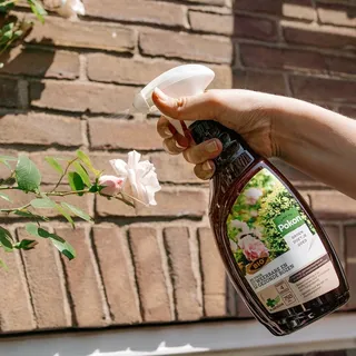 Pokon Bio Kuur Voor Weerbare en Gezonde Rozen Spray 750ml - afbeelding 4